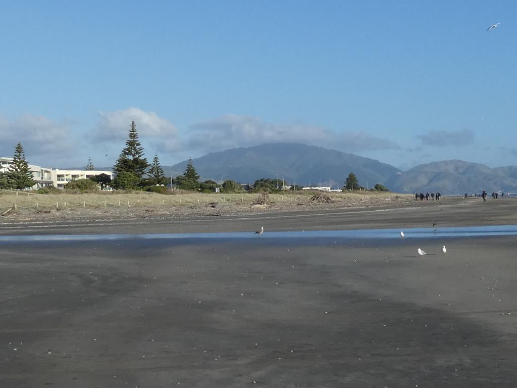 Apartment 4A - By The Beach Paraparaumu Exterior foto